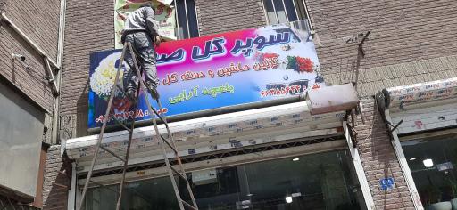 عکس سوپرگل صدف