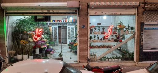 عکس سوپرگل صدف