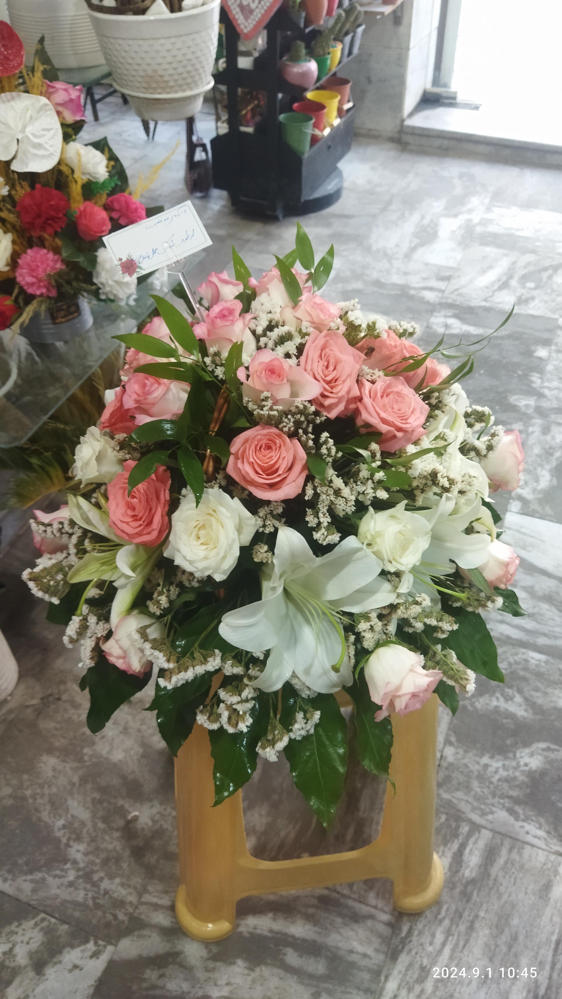 عکس سوپرگل صدف