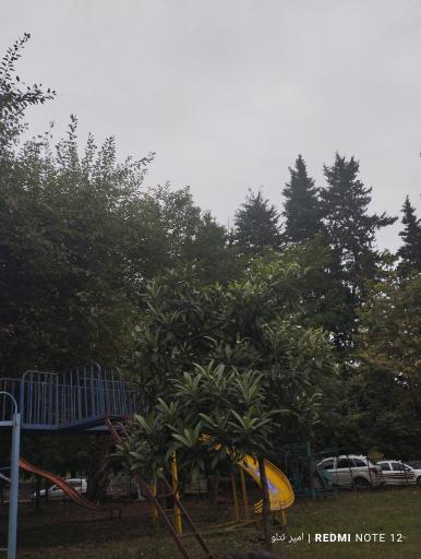 عکس پارک ساحلی امواج