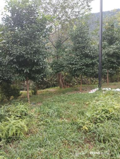 عکس پارک ساحلی امواج