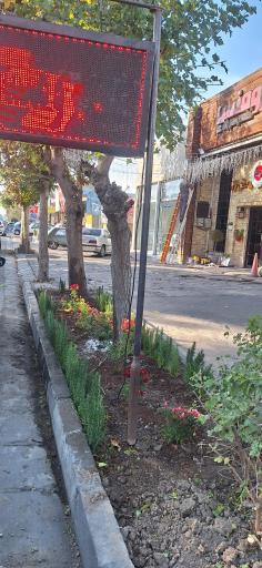 عکس کافه رستوران رومنس