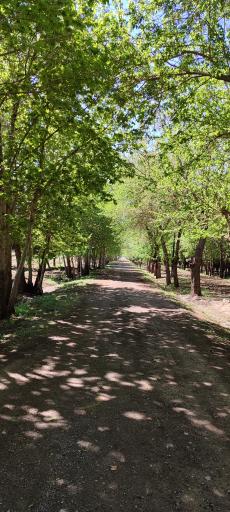 عکس بوستان شهید انتظاری