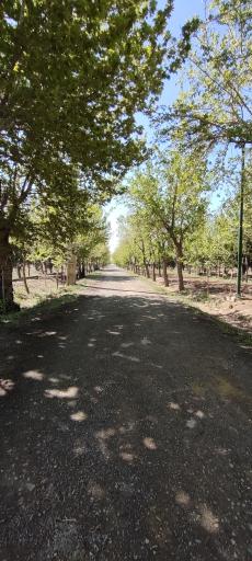 عکس بوستان شهید انتظاری