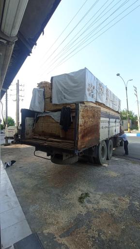 عکس چوب بری و چوب فروشی اسفندیار 
