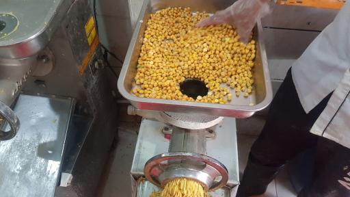 عکس دکتر فلافل