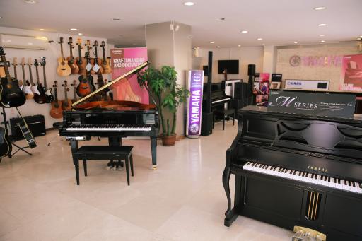 عکس بازرگانی تاشار قشم