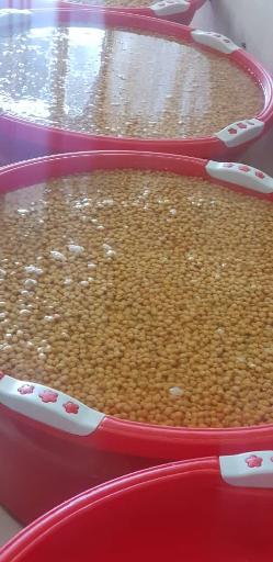 عکس دکتر فلافل