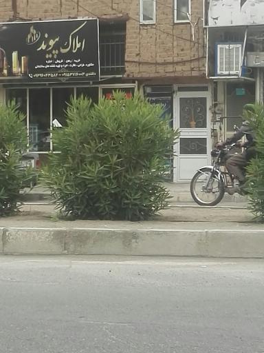 املاک پیوند