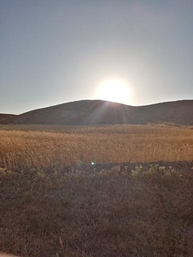 عکس نساره علیا