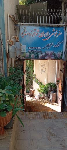 عکس گلاب و عرقیجات محلوجی و پسران