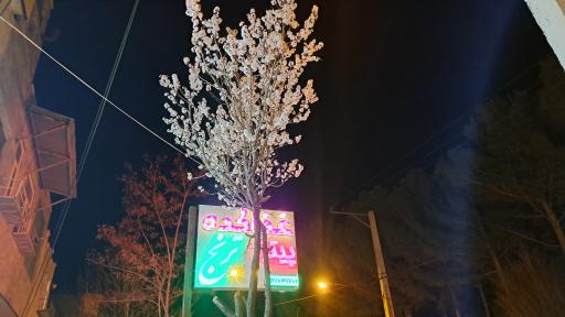 عکس رستوران ترنج