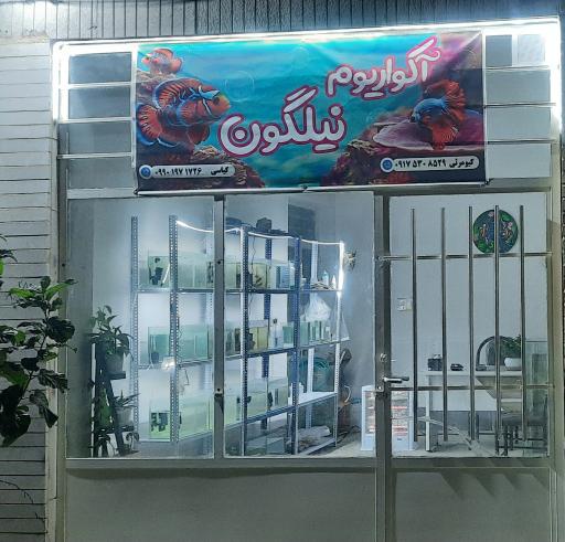 عکس آکواریوم نیلگون