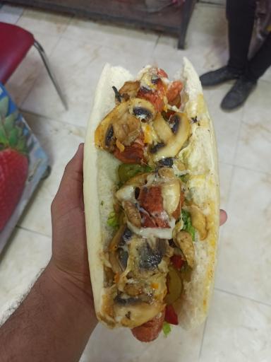 عکس پیتزا و ساندویچ شایان