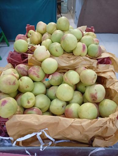 عکس سوپر میوه عمو حسن