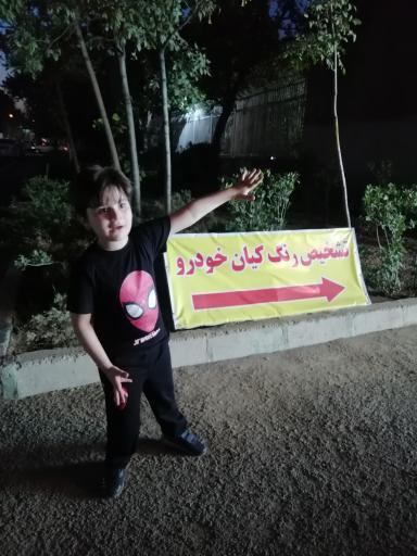 عکس تشخیص رنگ خودرو