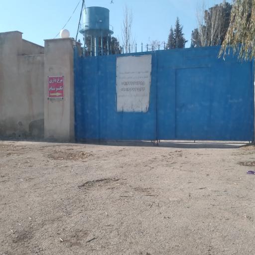 مرغداری نکونام