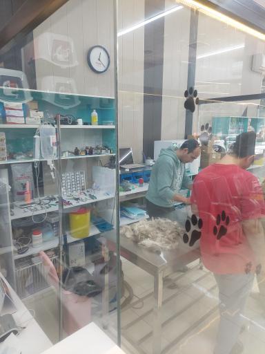 مجتمع درمانی دامپزشکی و پت شاپ H&H