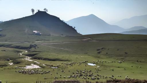 عکس یوله پیچ