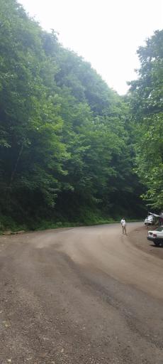 عکس یوله پیچ