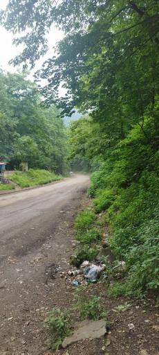 عکس یوله پیچ