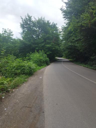 عکس یوله پیچ