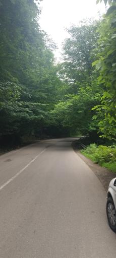 عکس یوله پیچ