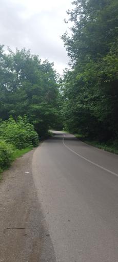 عکس یوله پیچ