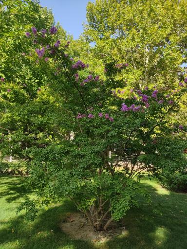 عکس بوستان رسالت