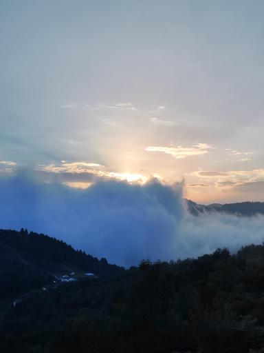 عکس یوله پیچ