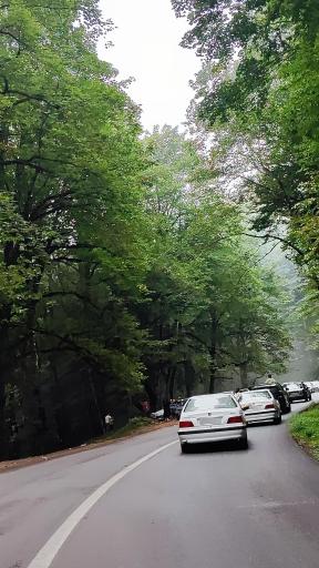 عکس یوله پیچ