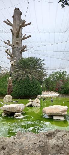 عکس پارک دلفین