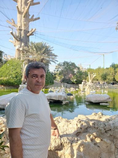 عکس پارک دلفین