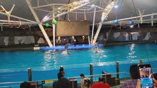 عکس پارک دلفین