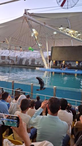 عکس پارک دلفین