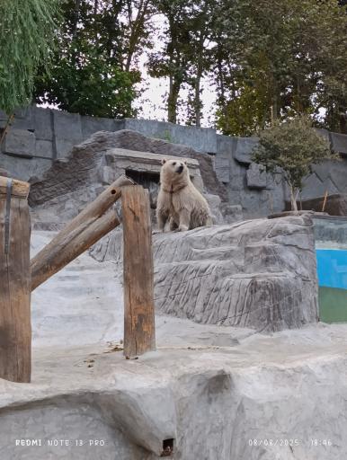 پارک ارم سبز