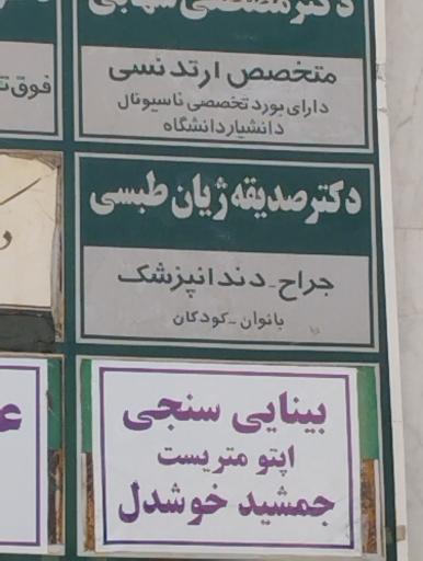 عکس دکتر صدیقه ژیان طبسی