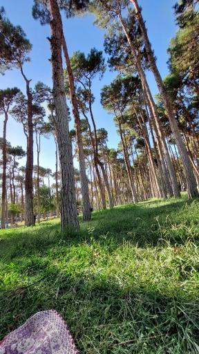 عکس پارک ارم سبز