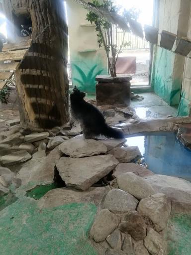 عکس پارک ارم سبز