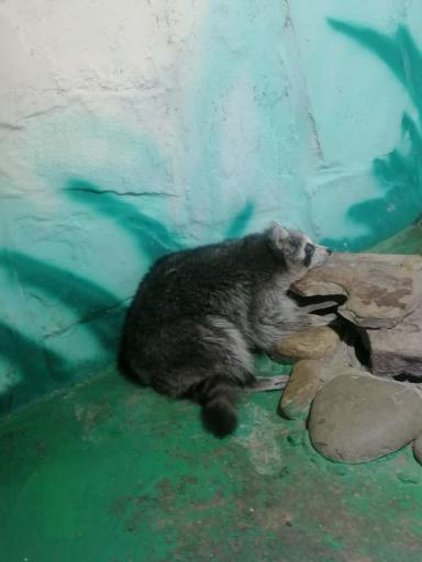 پارک ارم سبز