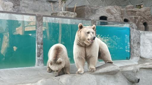 پارک ارم سبز