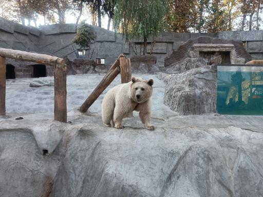 عکس پارک ارم سبز