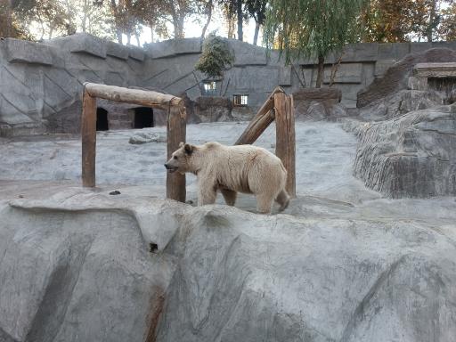 عکس پارک ارم سبز