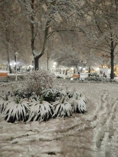 عکس بوستان رسالت