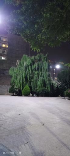 عکس پارک ارم سبز