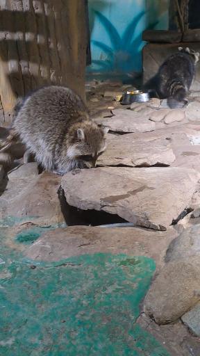 عکس پارک ارم سبز