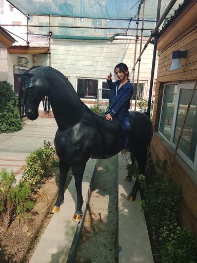 عکس پارک ارم سبز