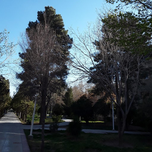 عکس بوستان باغ نوش