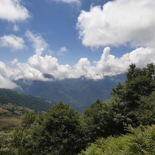 عکس یوله پیچ