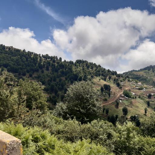 عکس یوله پیچ